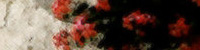 Fragility of Spring